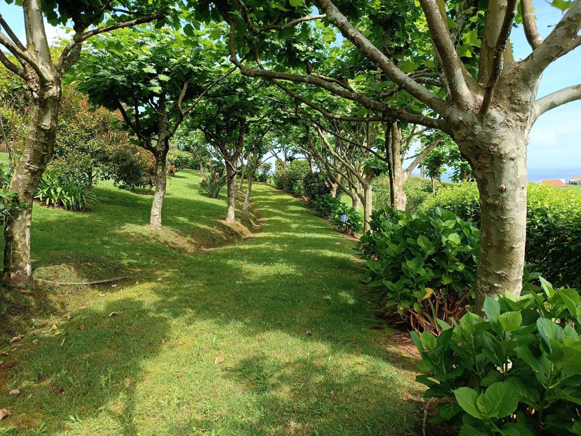 Tradicampo Eco Country Houses Nordeste  Bagian luar foto